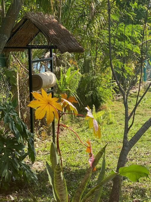 Casa Abeii. Lugar Magico Frente A La Laguna Villa Xul-Ha Exterior photo